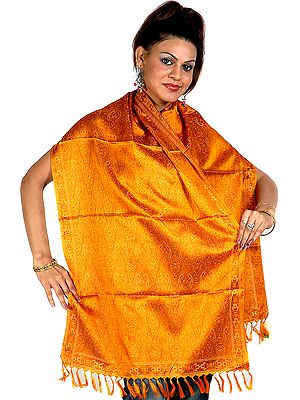 Amber Tehra Banarasi Stole Hand-Woven with All-Over Paisleys