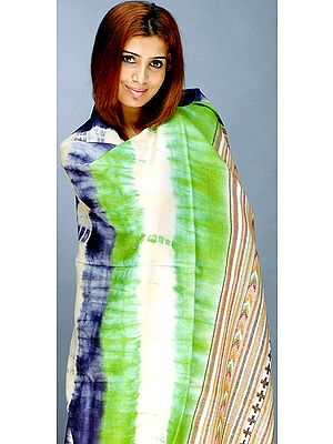 Batik Shaded Shawl with Kullu Border