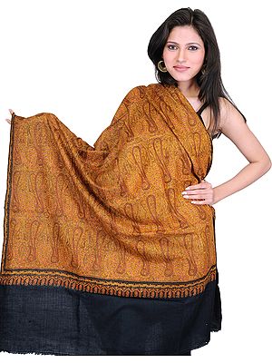 Black Pashmina Shawl from Kashmir with Authentic Intricate Jamdani Embroidery by Hand