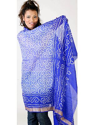 Blue Shaded Bandhani Shawl from Gujrat