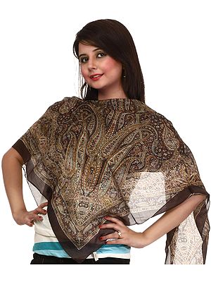 Chocolate Brown Scarf with Large Printed Paisleys