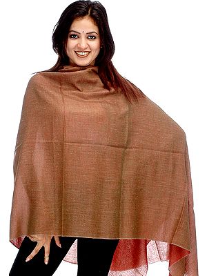 Double Sided Pure Pashmina Shawl as an Imitation of Shahtoosh