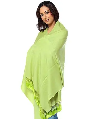 Mellow-Green Silk-Pashmina Stole from Nepal with Embroidered Beads