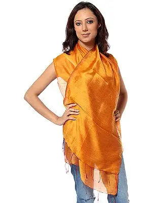 Burnt Orange Scarf from Banaras