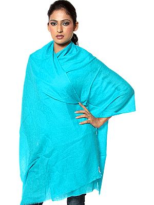Robin-Egg Blue Pure Pashmina Stole from Kashmir with Self Weave