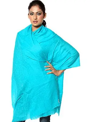 Robin-Egg Blue Pure Pashmina Stole from Kashmir with Self Weave