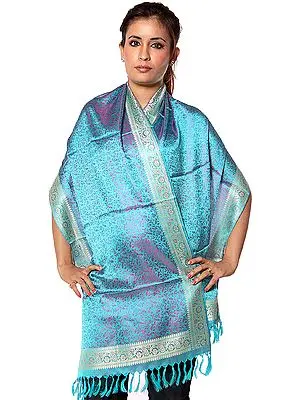 Sky-Blue Banarasi Hand-Woven Stole with All-Over Tanchoi Weave