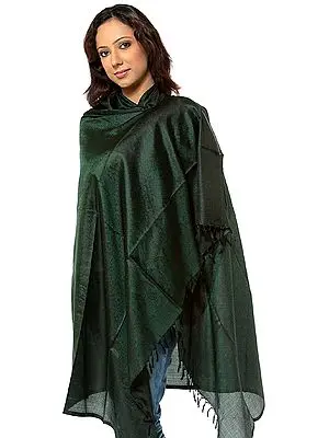 Black Banarasi Shawl with Tanchoi Weave in Green Thread