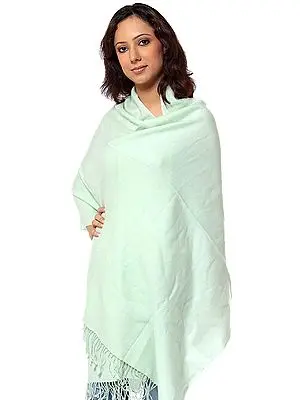 Pale-Green Pure Pashmina Stole from Nepal