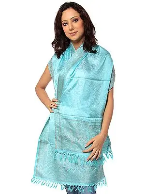 Pale-Blue Banarasi Hand-Woven Stole with All-Over Tanchoi Weave