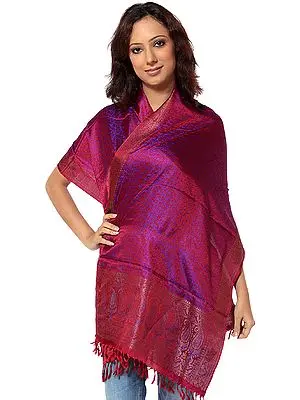 Burgundy Banarasi Hand-Woven Stole with All-Over Tanchoi Weave