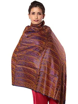 Blue Stylized Paisley Banarasi Shawl with All-Over Weave
