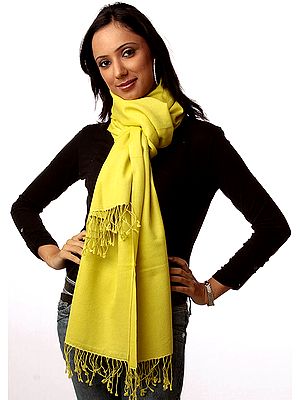 Lemon-Yellow Silk-Pashmina Stole from Nepal