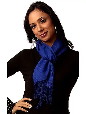 Royal-Blue Pure Pashmina Scarf from Nepal