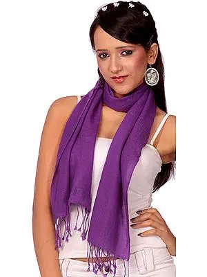 Purple Pure Pashmina Scarf from Nepal