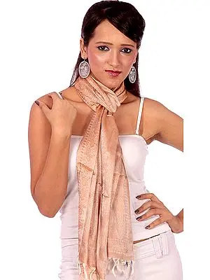 Tan Banarasi Stole with Tanchoi Weave