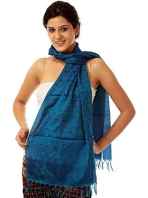 Azure Banarasi Stole with Tanchoi Weave