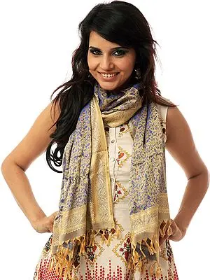 Handwoven Beige Banarasi Stole with Tanchoi Weave