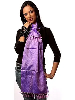 Amethyst Banarasi Stole with Tanchoi Weave