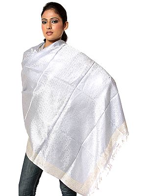 Handwoven Powder-Blue Banarasi Shawl with Tanchoi Weave