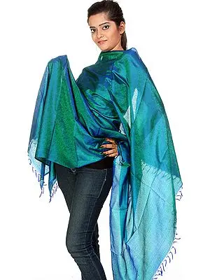 Imperial Blue Banarasi Shawl with Tanchoi Weave by Hand