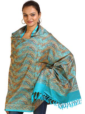 Cyan-Blue Banarasi Shawl with Woven Paisleys