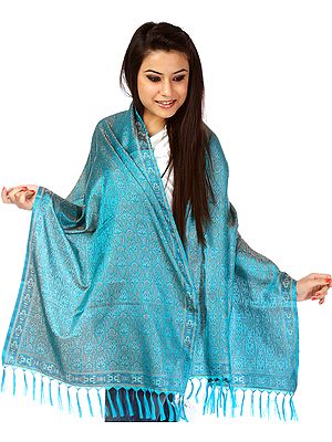 Cyan-Blue Tehra Banarasi Scarf with All-Over Woven Paisleys