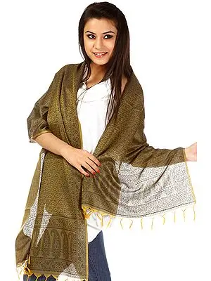 Yellow and Black Banarasi Scarf with Tanchoi Weave