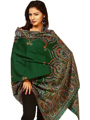 Posy-Green Kani Shawl with Woven Paisleys and Kalamkari Embrodiery by Hand