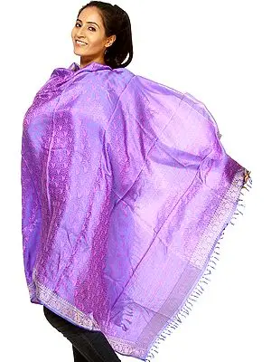 Handwoven Iris-Blue Banarasi Shawl with Tanchoi Weave