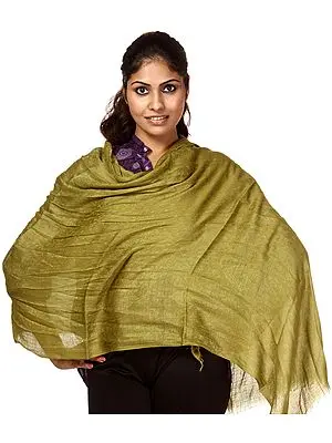 Olive-Green Plain Cashmere Stole with Self Weave