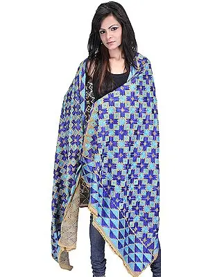 Beige and Blue Phulkari Dupatta from Punjab with Aari Embroidered Flowers and Sequins