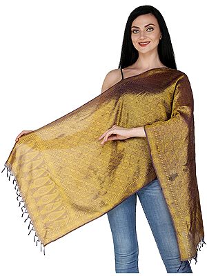 Banarasi Handloom Scarf with All-Over Tanchoi Weave