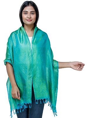 Banarasi Handloom Scarf with All-Over Tanchoi Weave