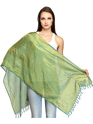 Banarasi Handloom Scarf with All-Over Tanchoi Weave