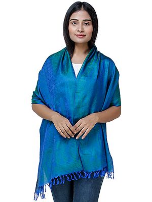 Banarasi Handloom Scarf with All-Over Tanchoi Weave