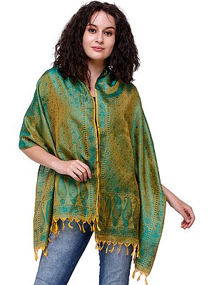 Banarasi Handloom Scarf with All-Over Tanchoi Weave