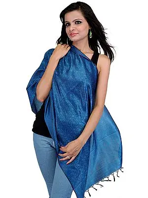 Daphne-Blue and Black Banarasi Scarf with All-Over Tanchoi Weave