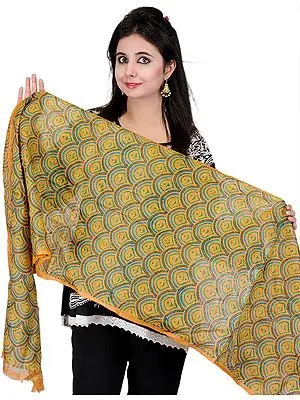Muskmelon Stole with Kantha Stitched Embroidered Motifs