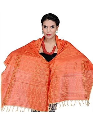 Banarasi Scarf with Tanchoi weave