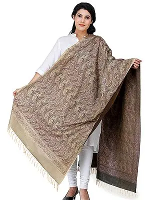 Stylized Paisley Banarasi Shawl with All-Over Weave