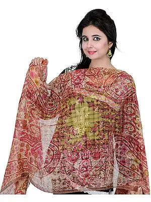 Beige and Cerise Stole with Missing-Checks in Weave and Printed Paisleys