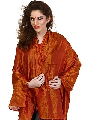 Cordovan Banarasi Shawl with Tanchoi Weave All-Over