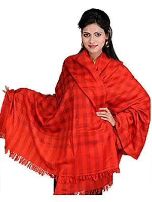 Tusha Shawl from Kashmir with Woven Checks All-Over