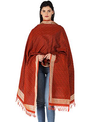 Hand-Woven Banarasi Shawl with Tanchoi Weave