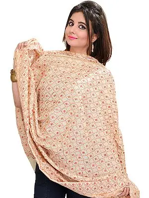 Winter-White Kashmiri Tusha Shawl with Needle Embroidery All-Over
