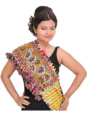 Multi-Color Dupatta from Kutch with Rabari Embroidery and Mirrors