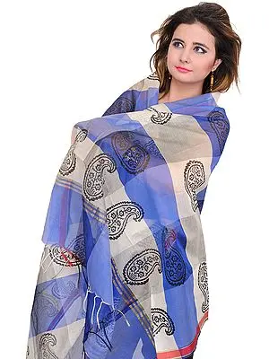 Double-Shaded Chanderi Dupatta with Printed Paisleys