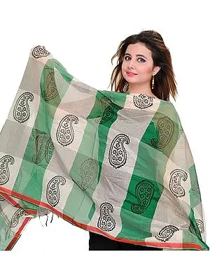 Double-Shaded Chanderi Dupatta with Printed Paisleys