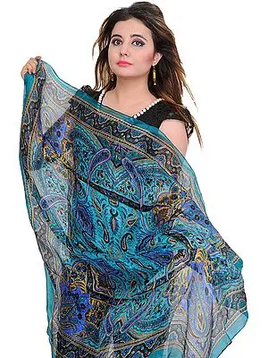 Angel-Blue Scarf with Printed Paisleys